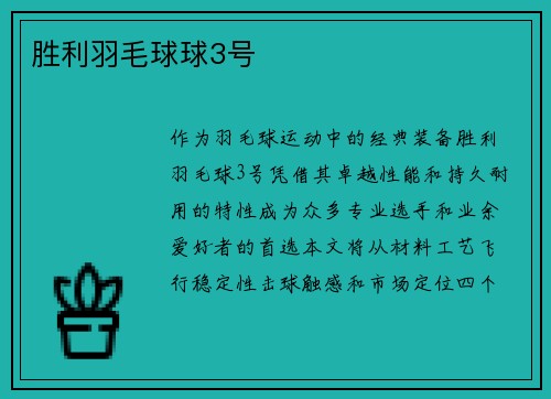 胜利羽毛球球3号