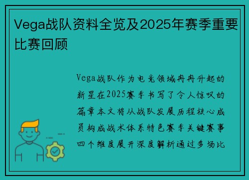 Vega战队资料全览及2025年赛季重要比赛回顾
